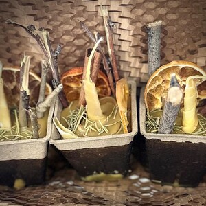 May include: Three small, square, brown paper pots filled with a natural wax candle, dried orange slices, cinnamon sticks, and twigs.