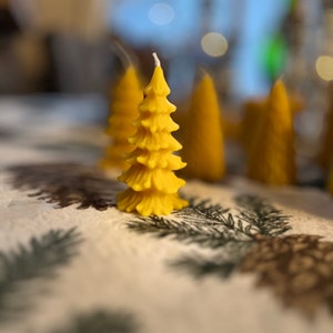 Beeswax Tree set of 3