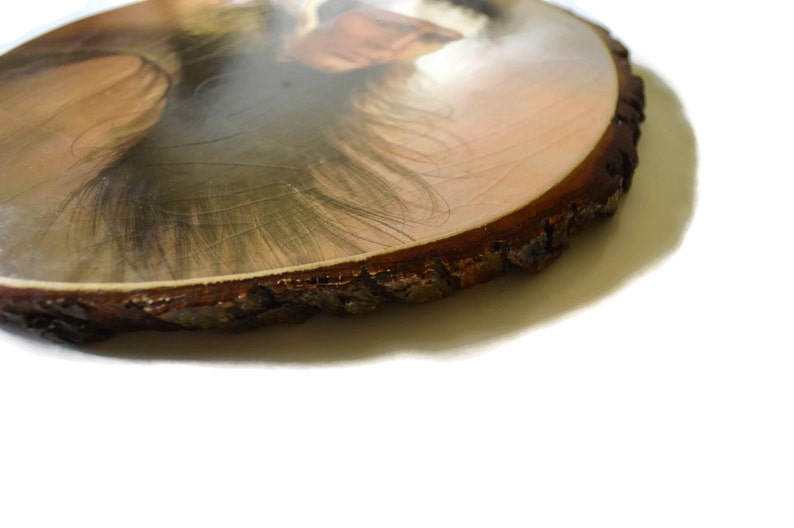 Pintura Compuesta Placa De Madera Nativa Americana Vintage Litho