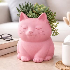 May include: A pink cat-shaped plant pot filled with succulents. The cat has closed eyes and whiskers. The pot is on a light wooden table. A white sofa and other items are in the background.