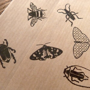 Stamp set insects 6 pieces image 4