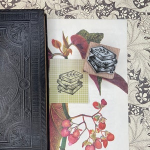 Könnte beinhalten: Zwei schwarze und weiße Gummistempel mit einem Stapel Bücher mit Blättern darauf. Die Stempel befinden sich auf einem weißen Hintergrund mit einem floralen Muster.