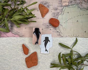 Sello "Aurora Boreal - Tiburón Ballena" - Talla L