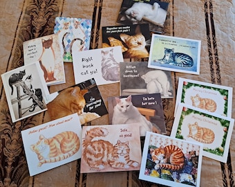 12 Mystery CAT NOTECARDS, +2 Free. cat note cards, Funny cats, Blank Note Cards, Blank Notecards, Greeting Cards, cat lady, cat lover gift