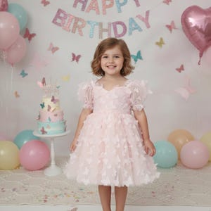 Butterfly Birthday Dress Light Pink Toddler Dress Fairy Birthday Outfit Short Sleeve Party Dress