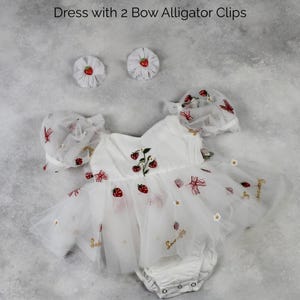 Berry First Birthday Dress Berry 1st Birthday Outfit Baby Girl Strawberry Dress Short Sleeve Girls Dress Dress & 2 Clips