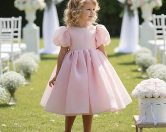 Flower Girl Dress Light Pink Toddler Dress Pink Puffy Dress Baby Girl Flower Girl Dresses Light Pink Baby Girl Short Sleeve Organza Dress