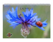 Ladybug 2026 Wall Calendar 