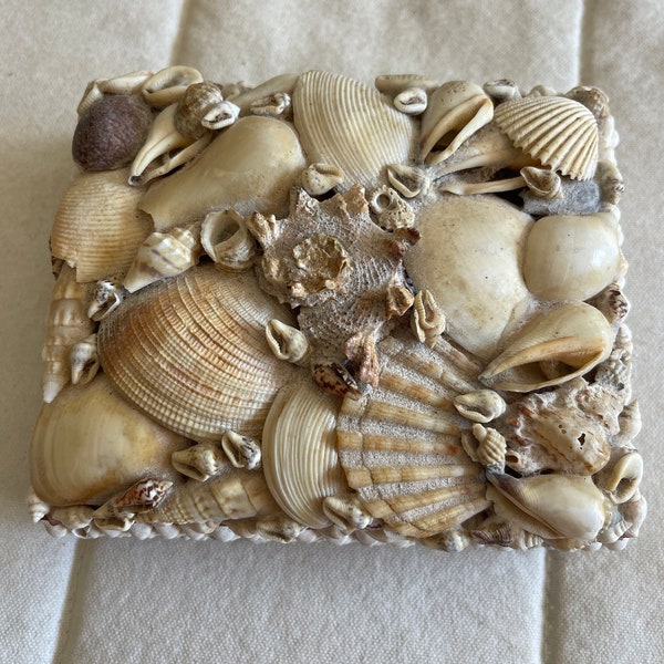 Shell Box - Etsy