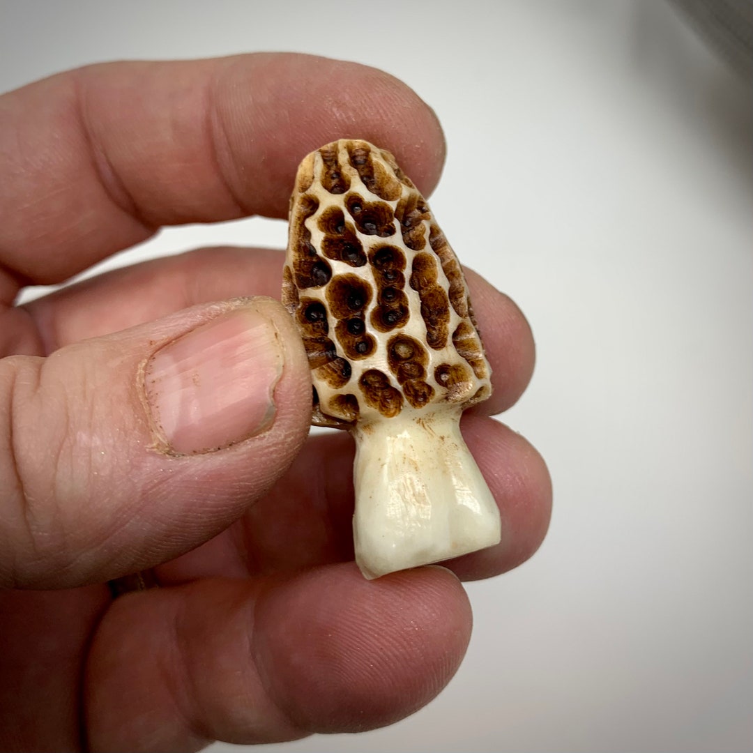 Morel Mushroom Carving Whitetail Deer Antler Hat Pin Lapel Etsy