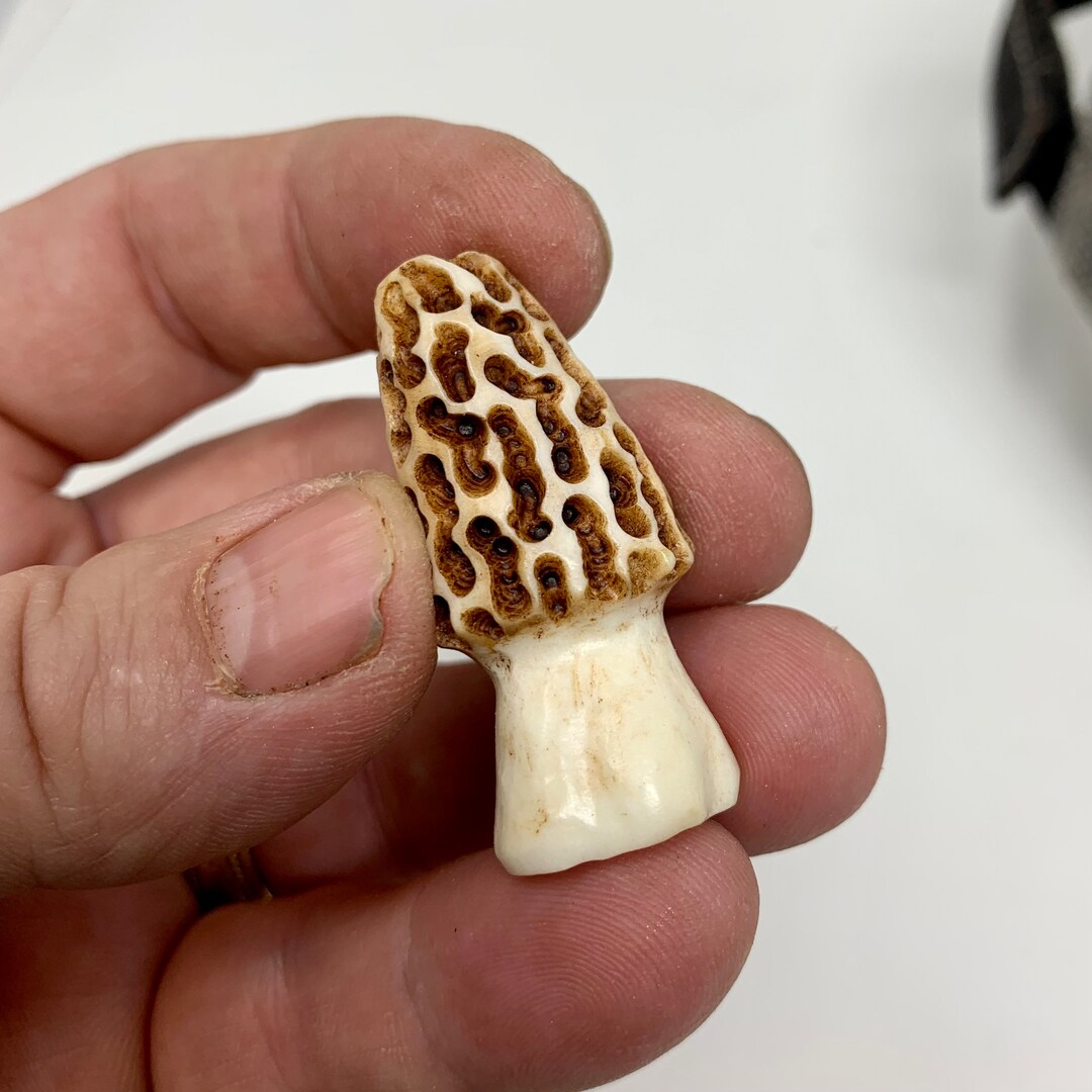 Morel Mushroom Carving, Whitetail Deer Antler, Hat Pin, Lapel Pin Etsy