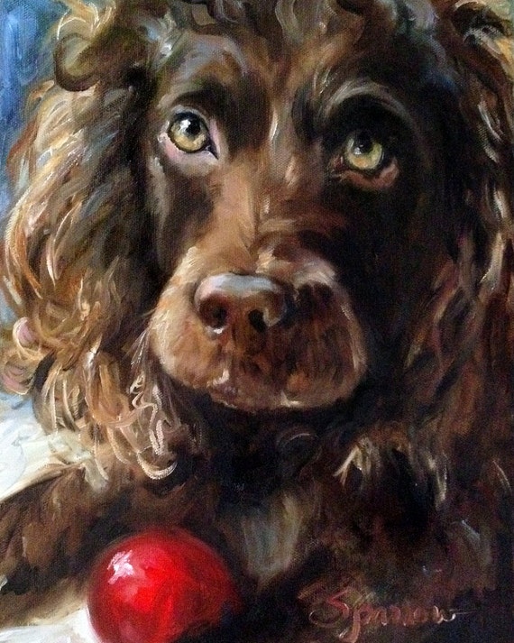 boykin spaniel gifts