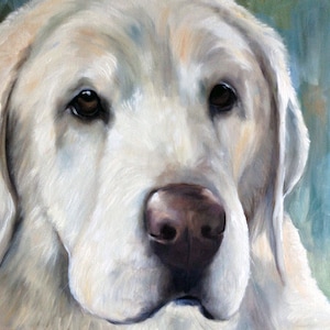 PRINT Yellow Labrador Retriever Lab Dog Puppy Art Print / Mary Sparrow pet portrait home decor hunting dog gift for him, animal painting