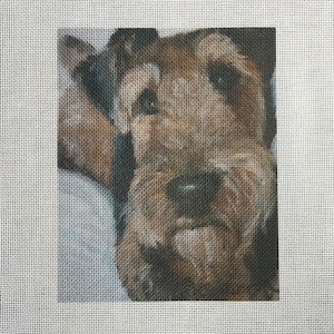 May include: Needlepoint canvas with a detailed portrait of a dog. The dog's fur is rendered in shades of brown and tan, with dark accents around the eyes and nose. The background is a soft, neutral colour, and the canvas has a grid pattern.
