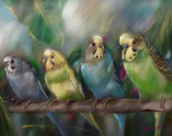 PRINT Parakeets budgies Fine feathered friends, bird art by Mary Sparrow