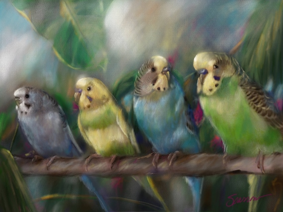 IMPRIMIR Periquitos periquitos Amigos de plumas finas arte de | Etsy México