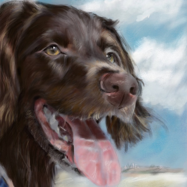 Boykin Spaniel - Etsy