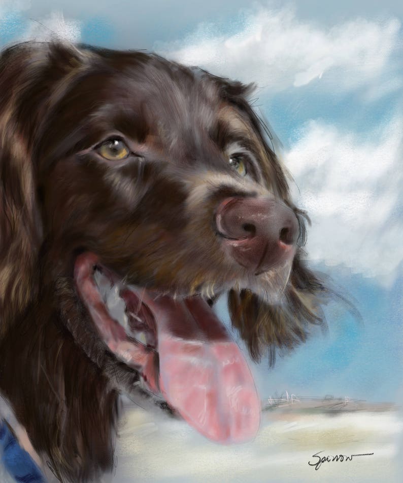 PRINT Boykin Spaniel Dog Face Art Print of Painting by Mary - Etsy UK