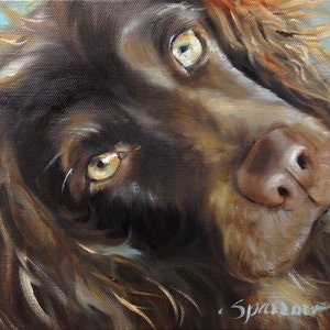 PRINT Boykin Spaniel Dog Face Art Print of oil Painting Gift / Mary Sparrow of Hanging the Moon