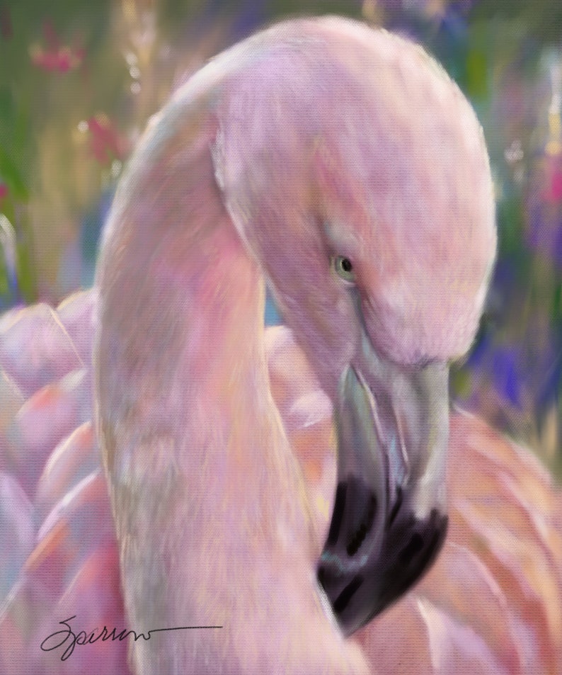 May include: A close-up of a pink flamingo with its head tucked down, showing its black beak and eye. The background is blurred and features shades of blue, green, and purple.
