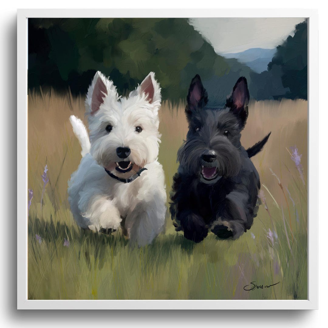 Scottish Terrier West Highland White Terrier Schnauzer Mix