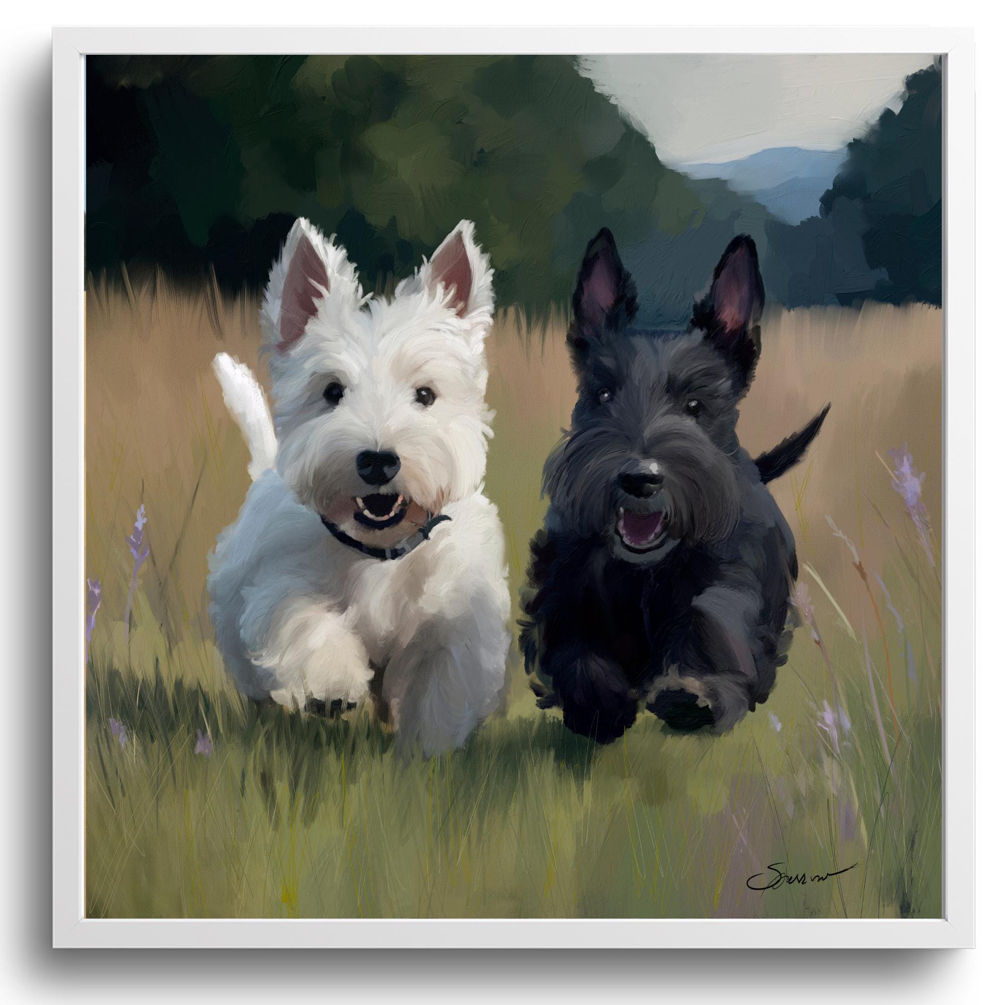 Terrier Mix Difference Between Westie And Scottie Westie Scottie
