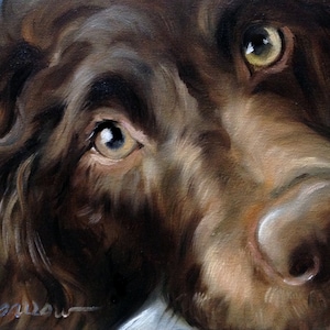 PRINT Boykin Spaniel Dog Face Art Print of oil Painting by Mary Sparrow pet portrait gift for dog lover hunting dog Nursery kids wall art