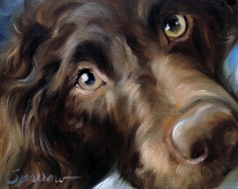 PRINT Boykin Spaniel Dog Face Art Print of oil Painting by Mary Sparrow pet portrait gift for dog lover hunting dog Nursery kids wall art