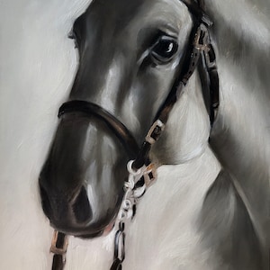 PRINT of original oil painting Equestrian Equine Horse &quot;White Shadow&quot; / Mary Sparrow of Hanging the Moon Studio