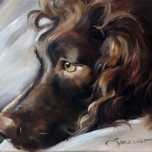 PRINT Boykin Spaniel Dog Face Art Print of oil Painting Gift / Mary Sparrow of Hanging the Moon