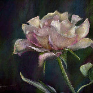 PRINT of original pastel painting pink and yellow heirloom tea rose botanical flower floral petals / Mary Sparrow of Hanging the Moon Studio