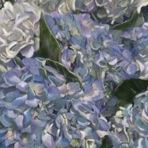 PRINT of original pastel painting Blue and purple hydrangeas  botanical flower floral petals / Mary Sparrow of Hanging the Moon Studio