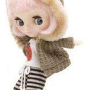 May include: A pink haired doll wearing a brown hooded jacket, black and white striped pants, and a white shirt with a red ladybug design.