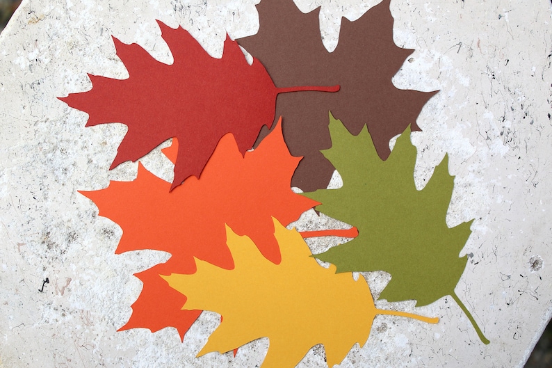May include: Five paper leaves in various shades of red, orange, yellow, brown, and green. The leaves are cut out in the shape of oak leaves and are arranged on a light gray background.