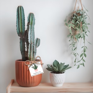 Teacher Appreciation Gift Tags - Succulent Plant - Thank You For Helping Me Grow - Teacher Gift - Teacher Appreciation - Education