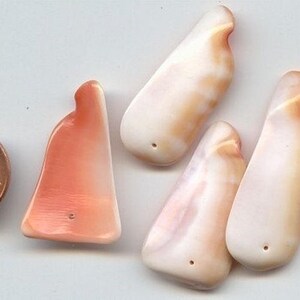 12 vintage echte grote Shell glad hanger charme kralen W196