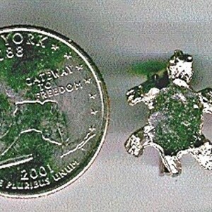 May include: A silver turtle charm with a detailed design. The charm is about the size of a US quarter.