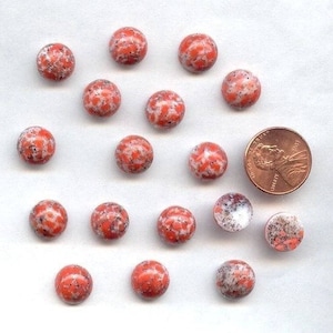 12 Vintage Coral Matrix Glass Smooth Domed 11mm. Round Cabochons W881