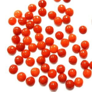 6 Vintage Genuine Red Orange Shell 5mm. Round Semi-Precious Cabochons E473