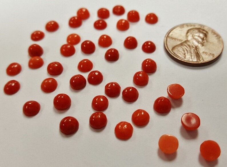 Round Semi-Precious Cabochons E473 6 Vintage Genuine Red Shell 5mm