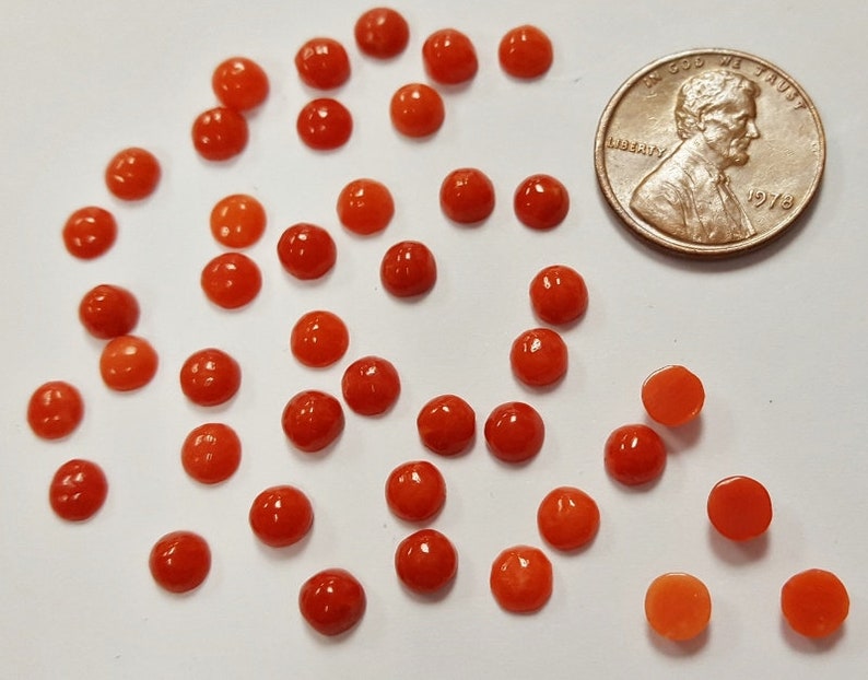 Round Semi-Precious Cabochons E473 6 Vintage Genuine Red Shell 5mm