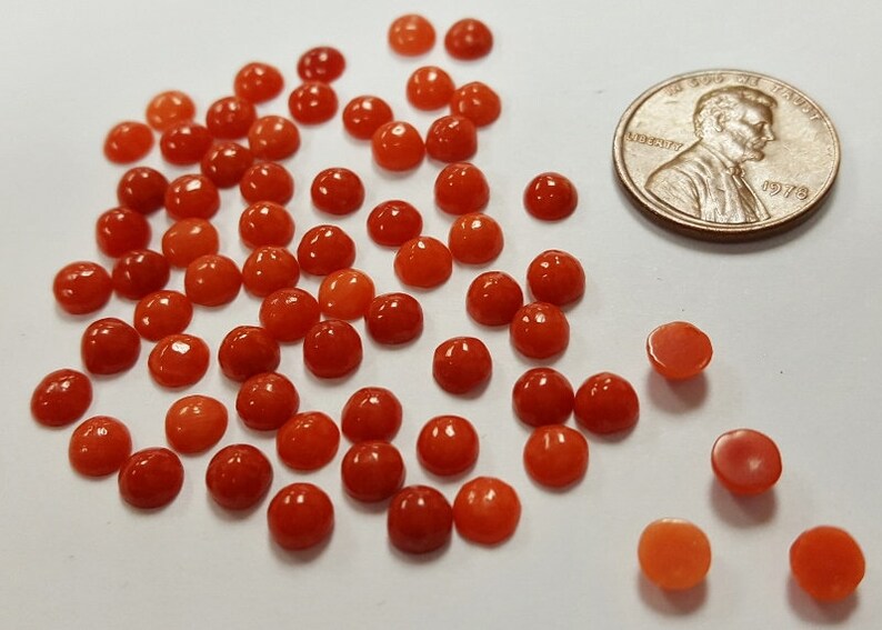 Round Semi-Precious Cabochons E473 6 Vintage Genuine Red Shell 5mm