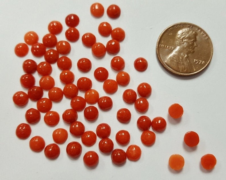 Round Semi-Precious Cabochons E473 6 Vintage Genuine Red Shell 5mm