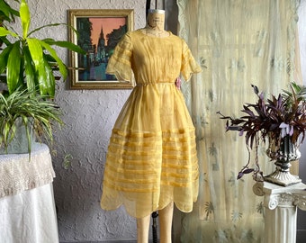 Vintage Sheer Organza Dress with Panniers / Scallop Edge Short Sleeve Dress / See Through Dress w Bustle / 1950s New Look Poofy Party Dress