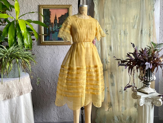 Vintage Sheer Organza Dress With Panniers / Scallop Edge Short Sleeve Dress  / See Through Dress W Bustle / 1950s New Look Poofy Party Dress - Etsy  Canada