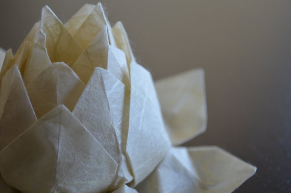 Pdf Instructions Origami Lotus Flower