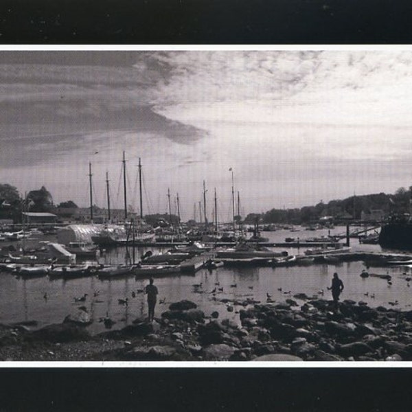 Camden, Maine, in black and white - photo card