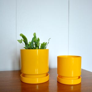 Vintage 80s LEFOLIA Acrylic Indoor Planter Pots. Made in Canada Retro  Yellow Small Medium Lefolia Planter Set. Space Age Plastic Planters - Etsy