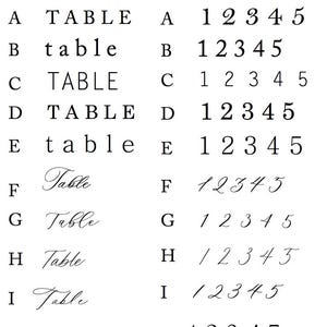 Op de afbeelding: Een witte achtergrond toont verschillende tekst- en nummerlettertypen. De woorden "TEXT FONT" en "NUMBER FONT" staan bovenaan. De tekstlettertypen omvatten hoofdletters en kleine letters, en de nummerlettertypen tonen de cijfers 1 tot en met 5.