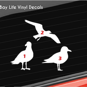 Seagulls Vinyl Decal, Ocean Beach Seagulls Vinyl, Seagulls Decal Car/Truck/Home/Laptop/Computer/Tumbler/Phone Decal